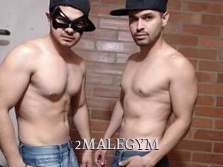 2MALEGYM