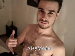 AleyModel