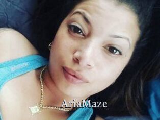 Aria_Maze