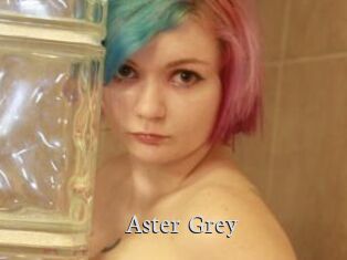 Aster_Grey