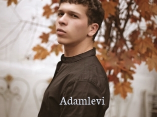 Adamlevi