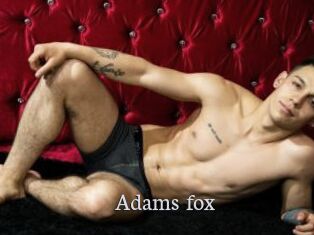 Adams_fox