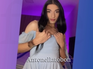 Antonellatobon