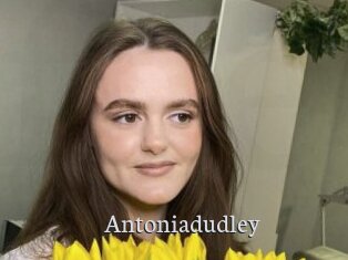 Antoniadudley