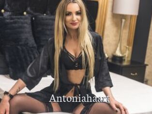 Antoniahaart