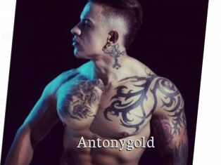 Antonygold