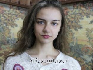 Ariasunflower