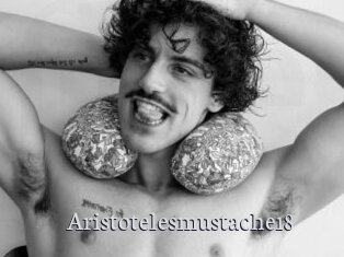 Aristotelesmustache18