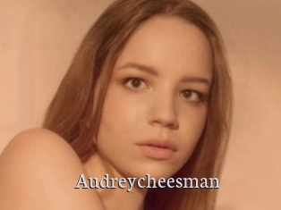 Audreycheesman