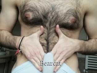 Bearcat
