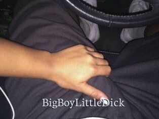 BigBoyLittleDick