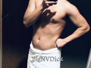 BigNVDick