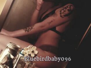 Bluebirdbaby096