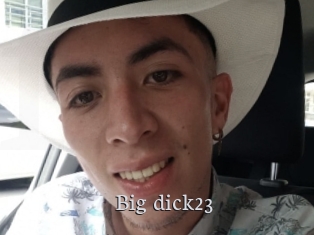 Big_dick23