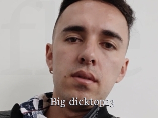 Big_dicktop23