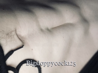 Bigsloppycock125