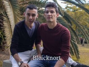 Bleicknort