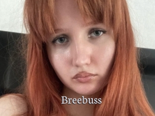 Breebuss