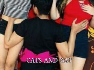 CATS_AND_BAT