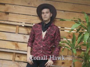 Conall_Hawk