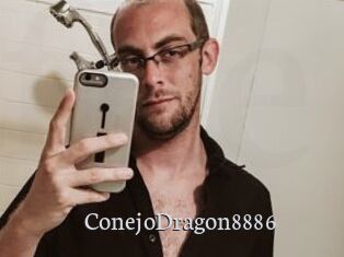 ConejoDragon8886