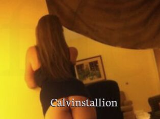 Calvinstallion