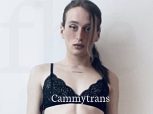 Cammytrans