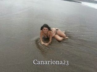 Canariona23