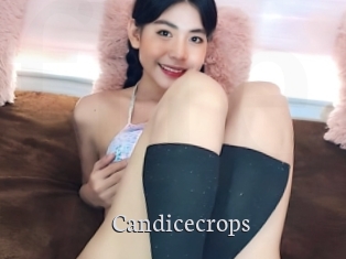 Candicecrops