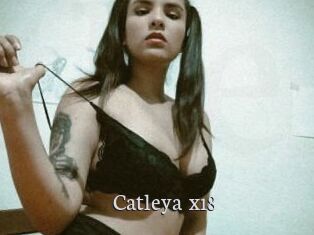 Catleya_x18