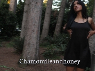 Chamomileandhoney