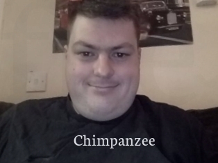 Chimpanzee