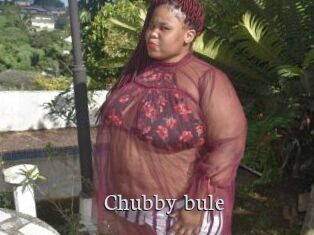 Chubby_bule