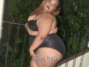 Cleo_bule