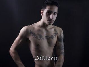 Coltlevin