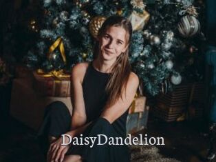 DaisyDandelion