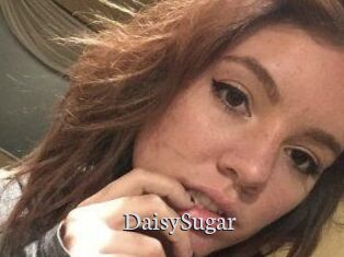 Daisy_Sugar