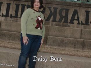 Daisy_Bear