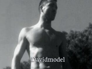 Davidmodel