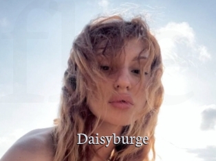 Daisyburge