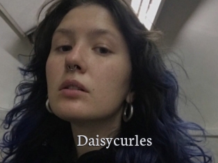 Daisycurles