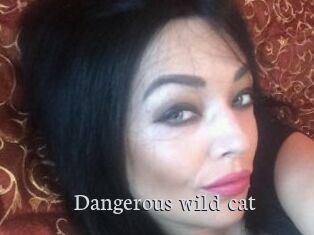 Dangerous_wild_cat