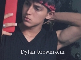 Dylan_brown15cm