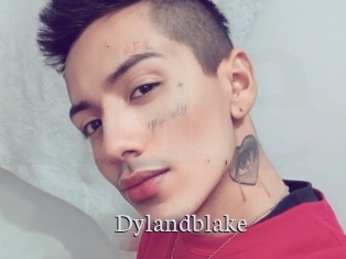 Dylandblake