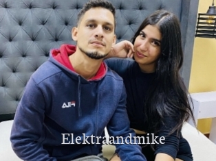 Elektraandmike