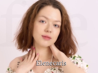 Elenecaris