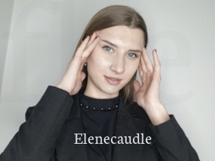 Elenecaudle