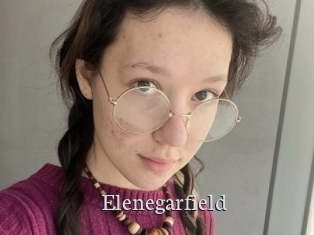 Elenegarfield