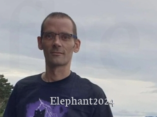 Elephant2024