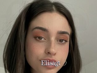 Elisagt